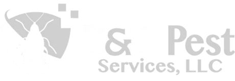 D&D Pest Services